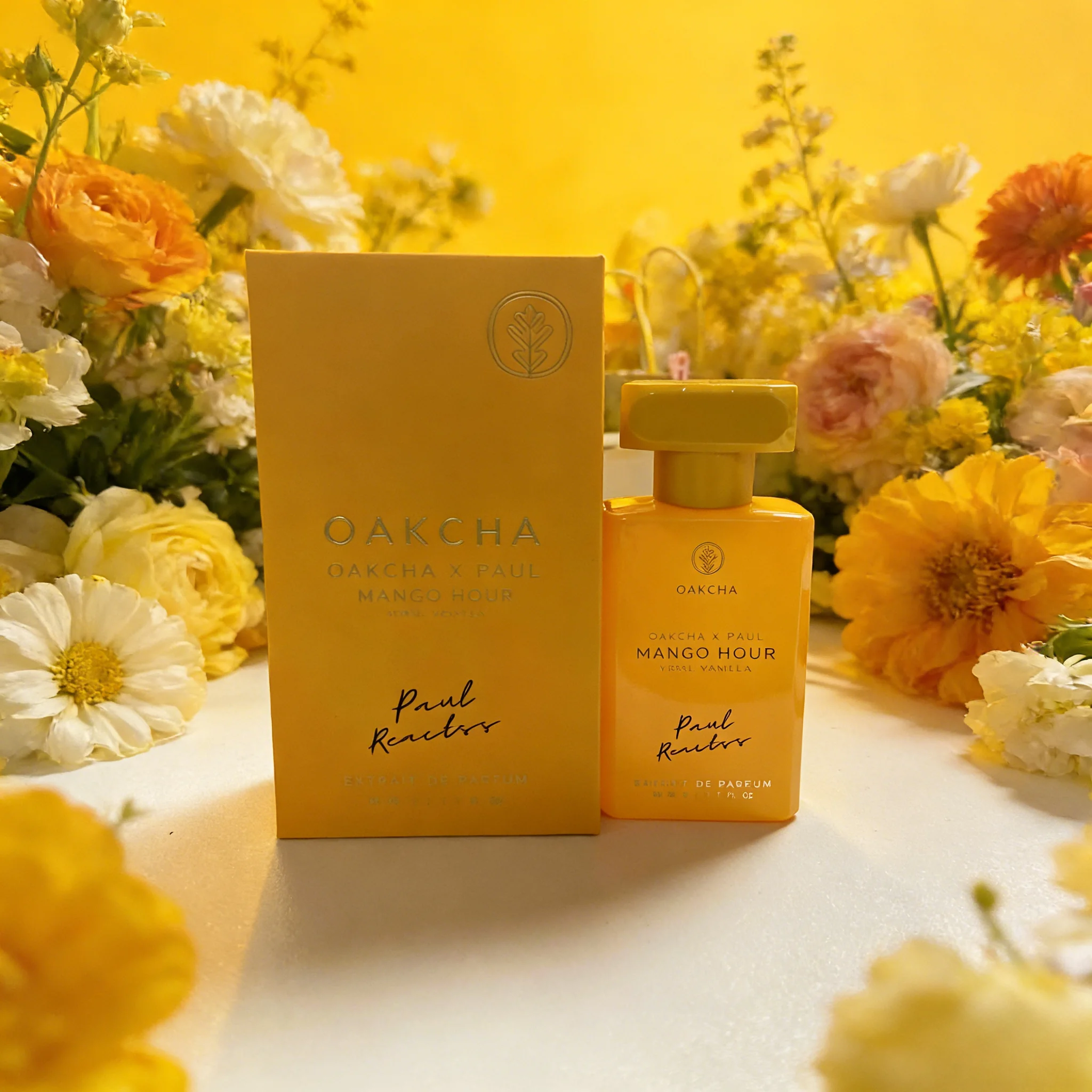مجموعة عطور OAKCHA للنساء، تتك - مراجعة Perfume Fragrance Discovery Set وسعره